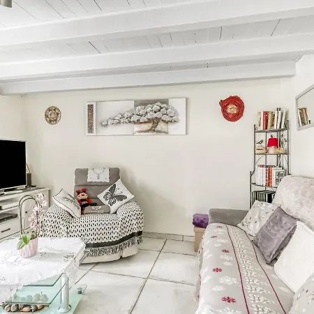 Charming Town Centre House With Garden * Dax